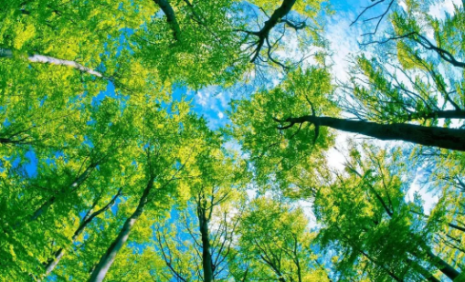 齐具小精灵软件官方下载 齐具小精灵软件官方下载