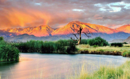 齐具小精灵软件官方下载 齐具小精灵软件官方下载