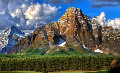 齐具小精灵软件官方下载 齐具小精灵软件官方下载