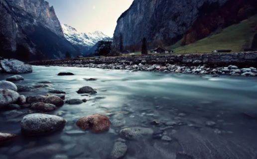 喵呜桌面app免费下载