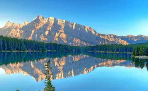 喵呜桌面app免费下载