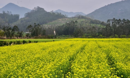 漫星星壁纸官方下载