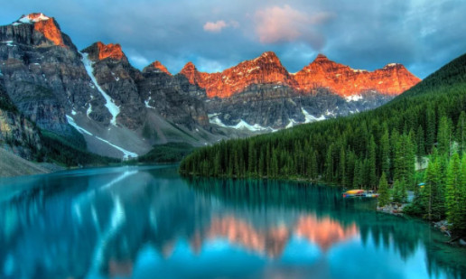 Procreate绘画修图免费下载