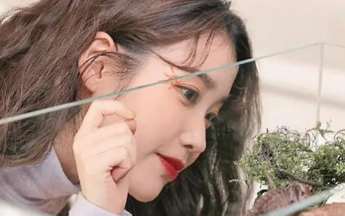 黑桃相机app安卓版下载 黑桃相机app安卓版下载