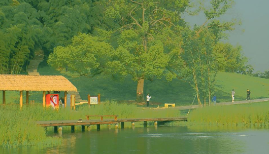 手机小组件app官方版下载 手机小组件app官方版下载