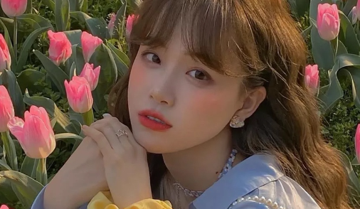 星辰壁纸app官方正版下载 星辰壁纸app官方正版下载