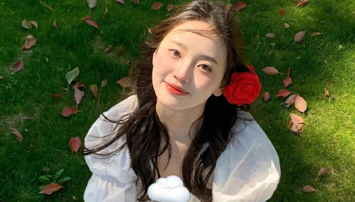 趣美壁纸app官方下载安装 趣美壁纸app官方下载安装