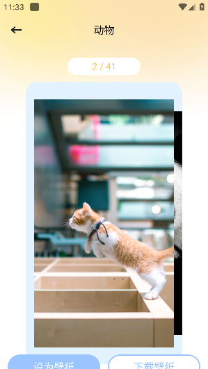 妖爱壁纸app安卓版下载