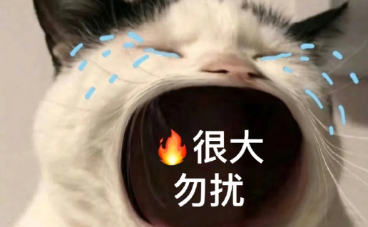 暴走P图神器最新版本下载