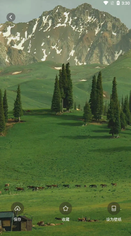 实况动态壁纸官方下载