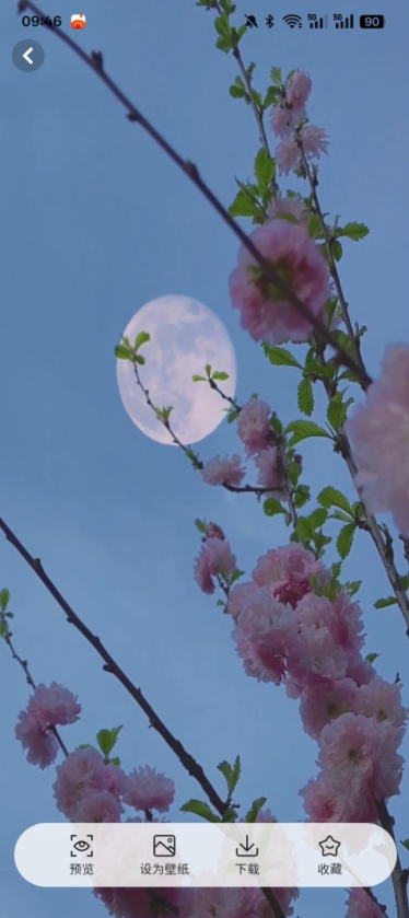 桌面主题精美官方下载