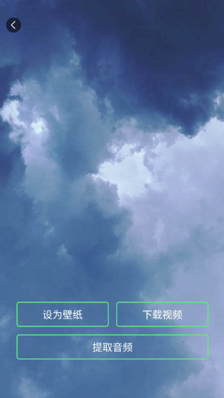 白桃动态壁纸官方下载 白桃动态壁纸官方下载