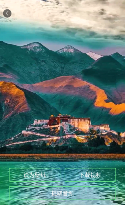 白桃动态壁纸官方下载 白桃动态壁纸官方下载