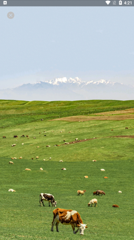搜图多多手机版下载 搜图多多手机版下载