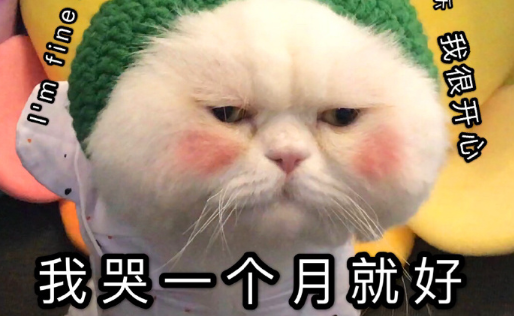 梗图生成器app最新版下载