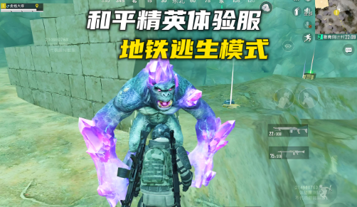 wz定制弱网app手机版下载