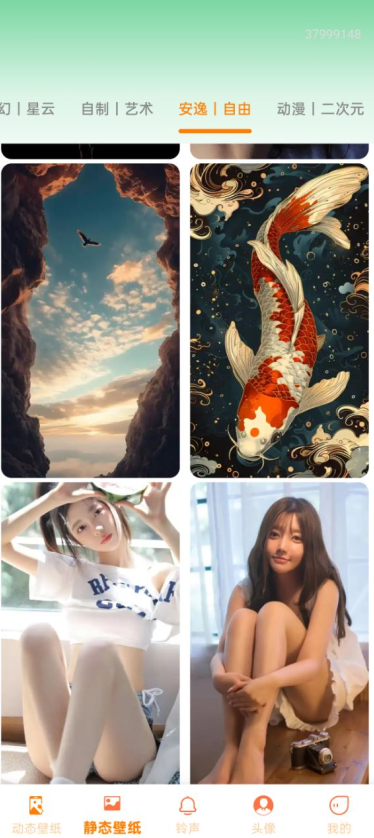 手机壁纸免费多免费下载手机版