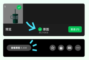 椰子背景官方下载app