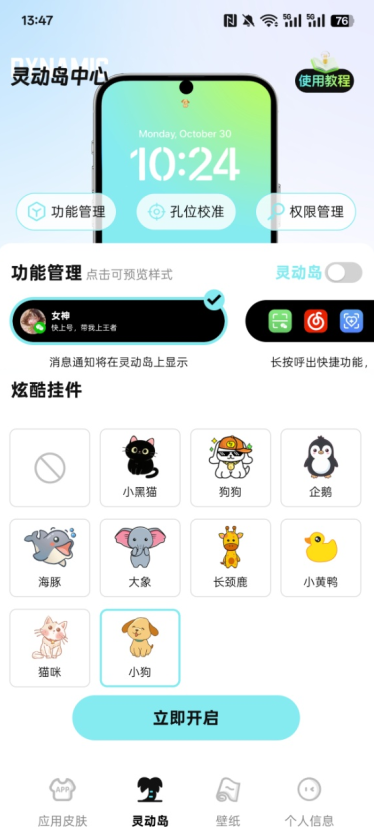 灵动皮肤小组件官方下载 灵动皮肤小组件官方下载