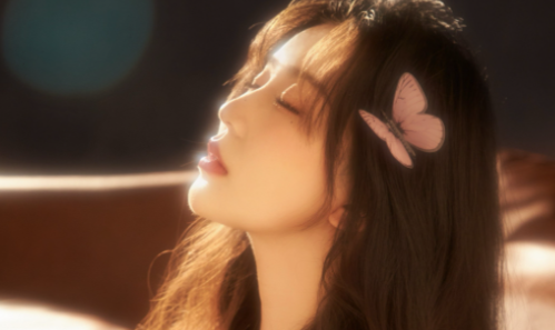 海豚壁纸app免费下载