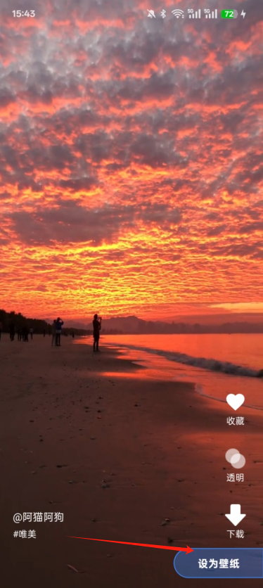 来电免费视频铃声官方下载