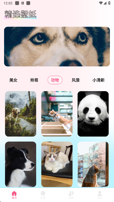玫瑰壁纸app手机版下载