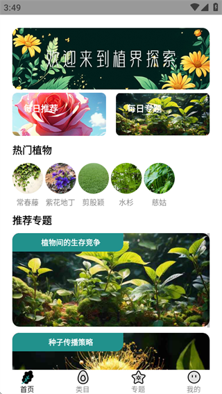 植界探索 植界探索