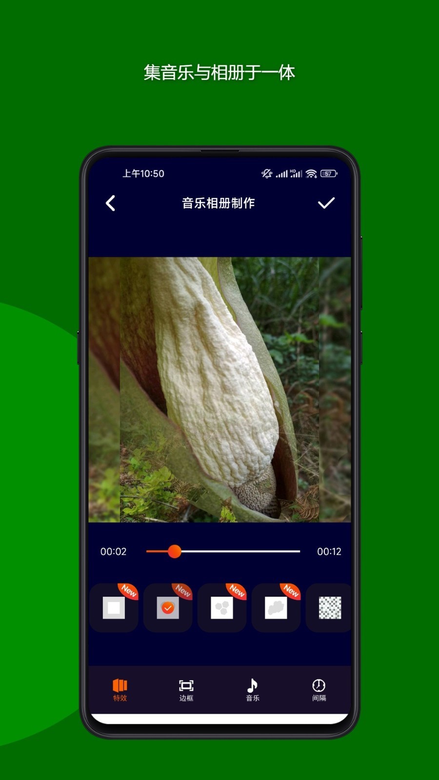 魔法音乐相册app安卓版下载 v23.08.29 官方版