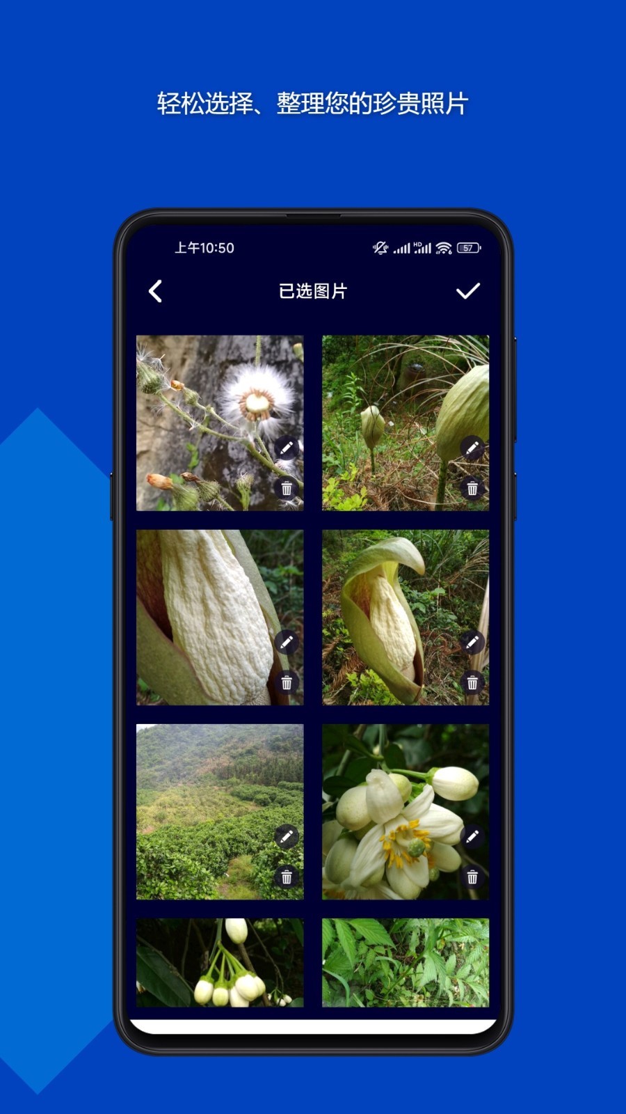 魔法音乐相册app安卓版下载 v23.08.29 官方版