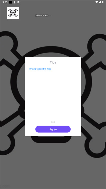 骷髅头直装和平精英app下载官方版 v1.0 安卓版