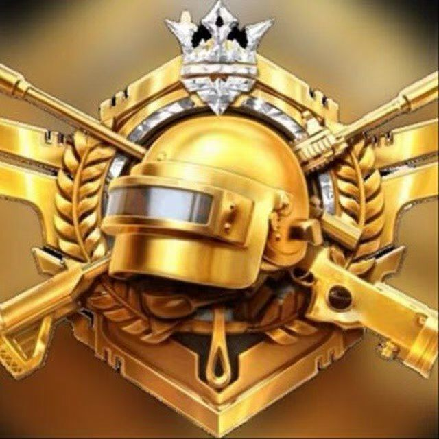 ACE直装和平精英下载 v1.0 安卓版