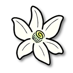 Azahar模拟器app官方版下载 v2120-rc3 安卓版