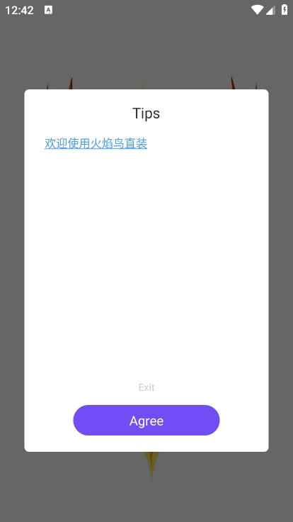 火焰鸟直装5.0容器和平精英下载 v1.0 安卓版