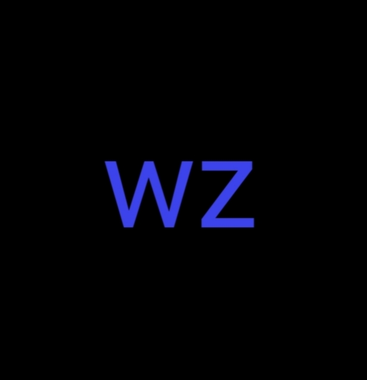 wz定制弱网app手机版下载 v1.36 最新版