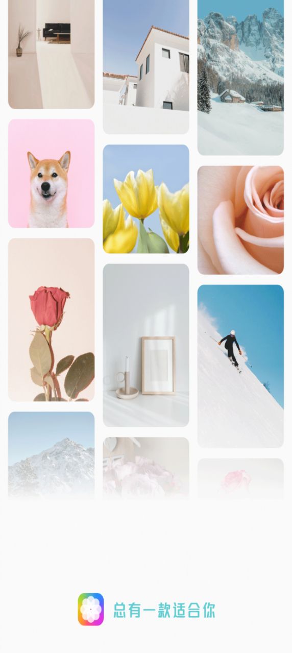 桌面主题精美官方下载 v1.6 安卓版