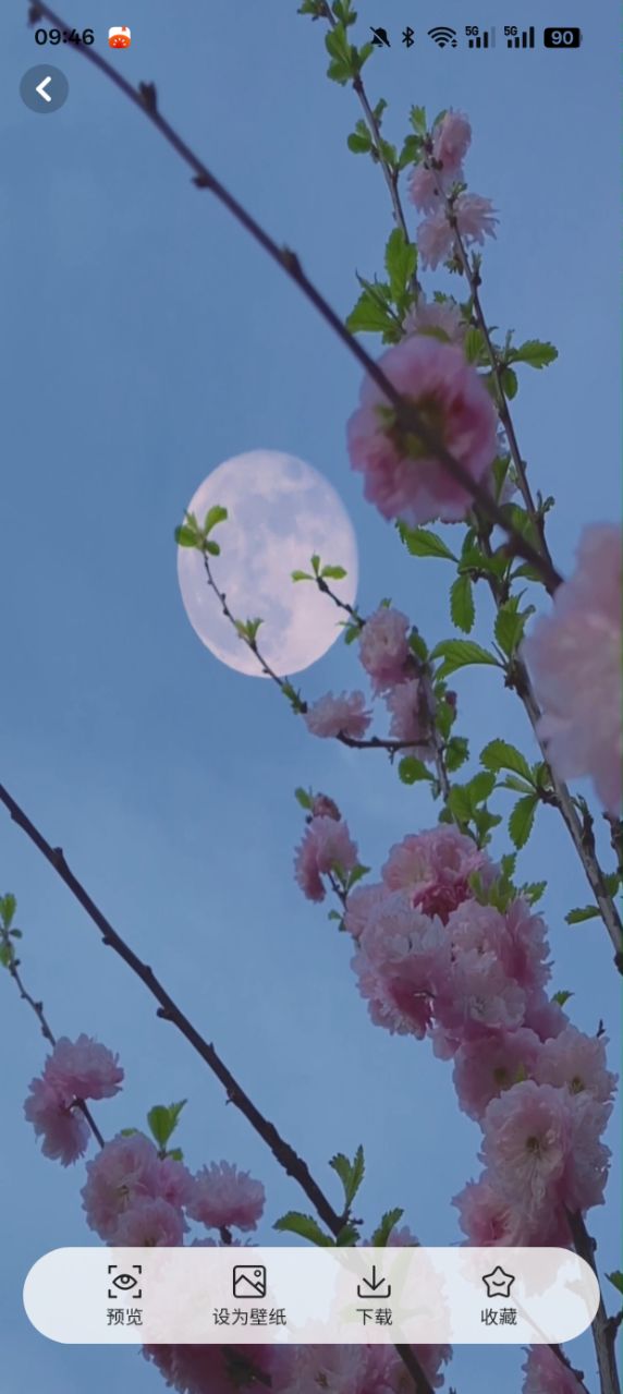 桌面主题精美官方下载 v1.6 安卓版