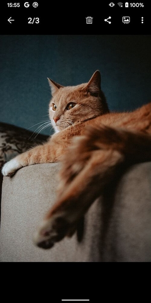 Gallery图库app官方版下载 v5.3.0 安卓版