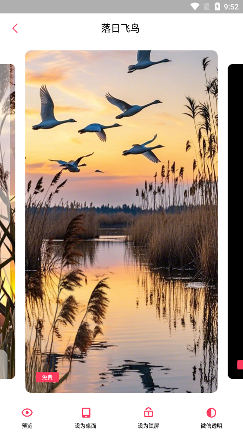 微视频壁纸动态壁纸下载 v5.4 安卓版