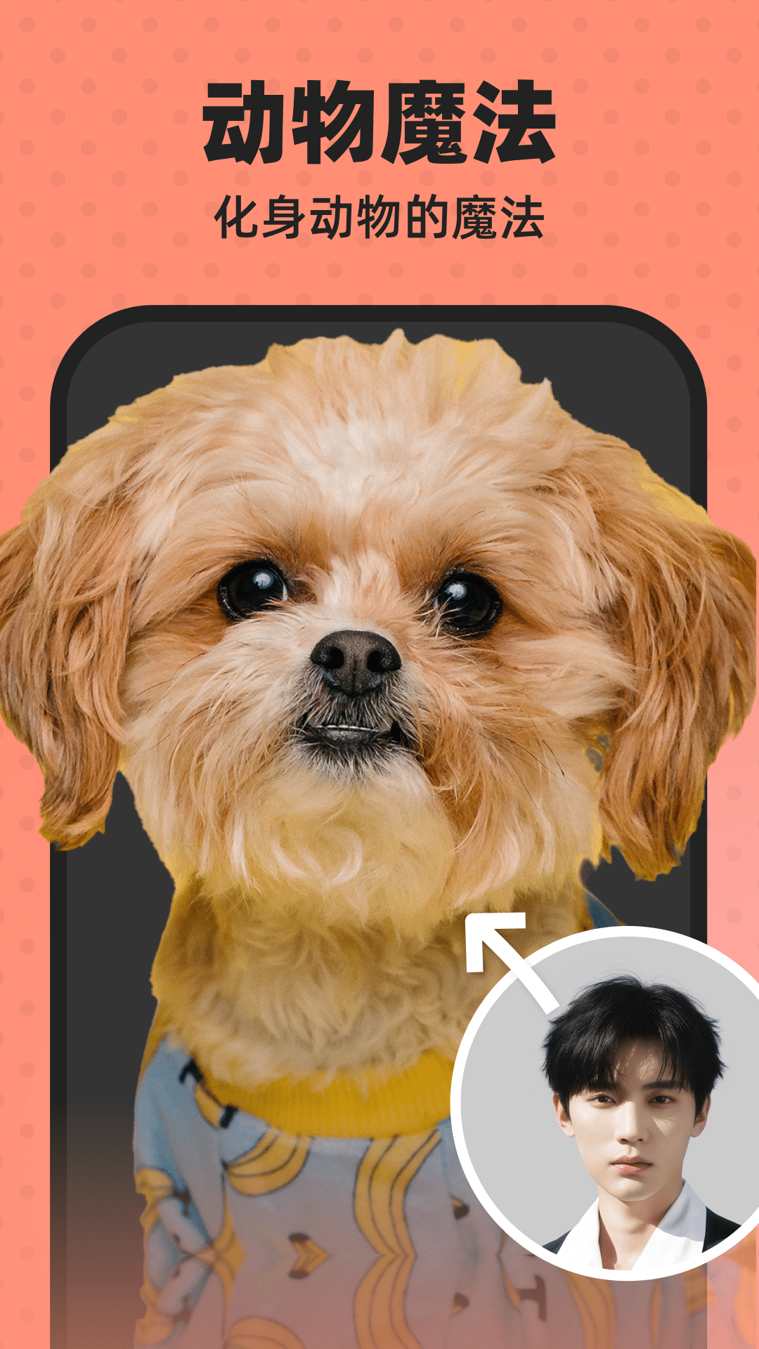 趣乐拍官方下载 v1.5.5 安卓版