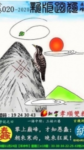 马会助手app下载安装 v4.5 安卓版