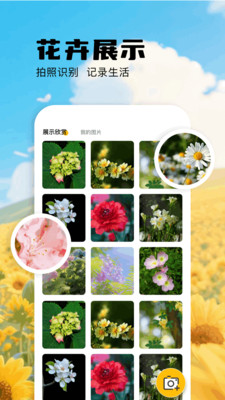 扫描识万物app下载 v1.1 安卓版