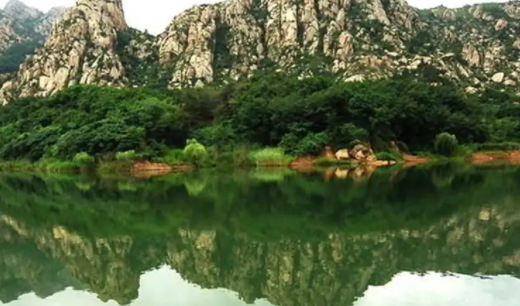 古镇珠山融媒体app