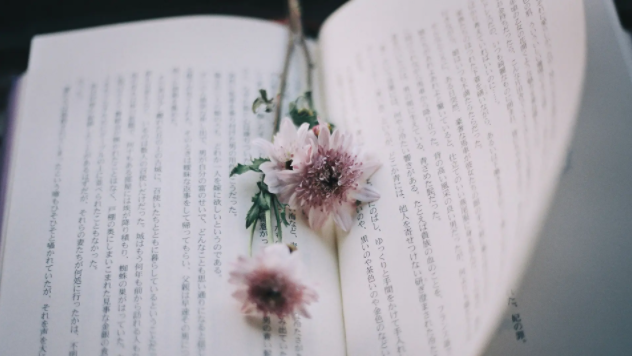 one一个app致敬韩寒