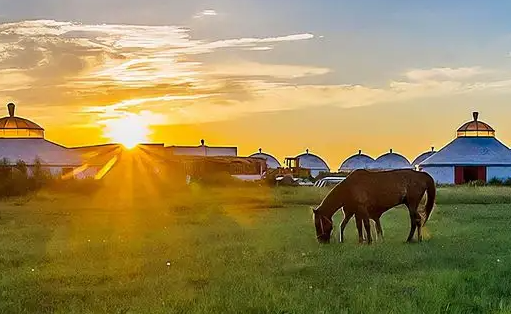 草原全媒手机客户端
