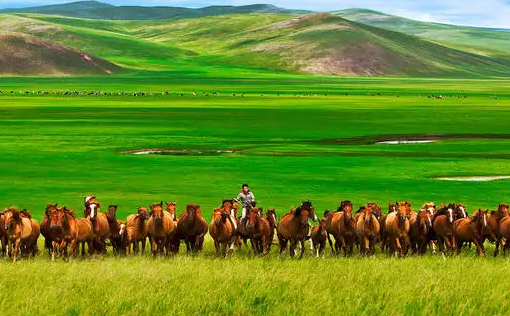 草原全媒手机客户端