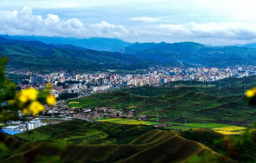 智慧新洲手机客户端 智慧新洲手机客户端