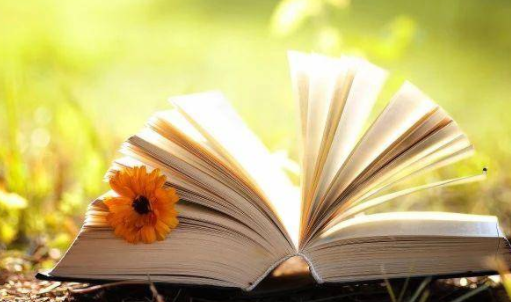 爱读小说阅读器