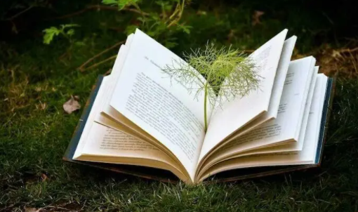 爱读小说阅读器