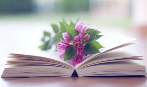 爱读小说阅读器