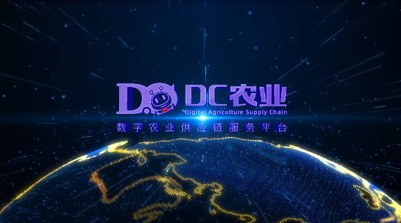 DC网点筹软件最新版本2023下载